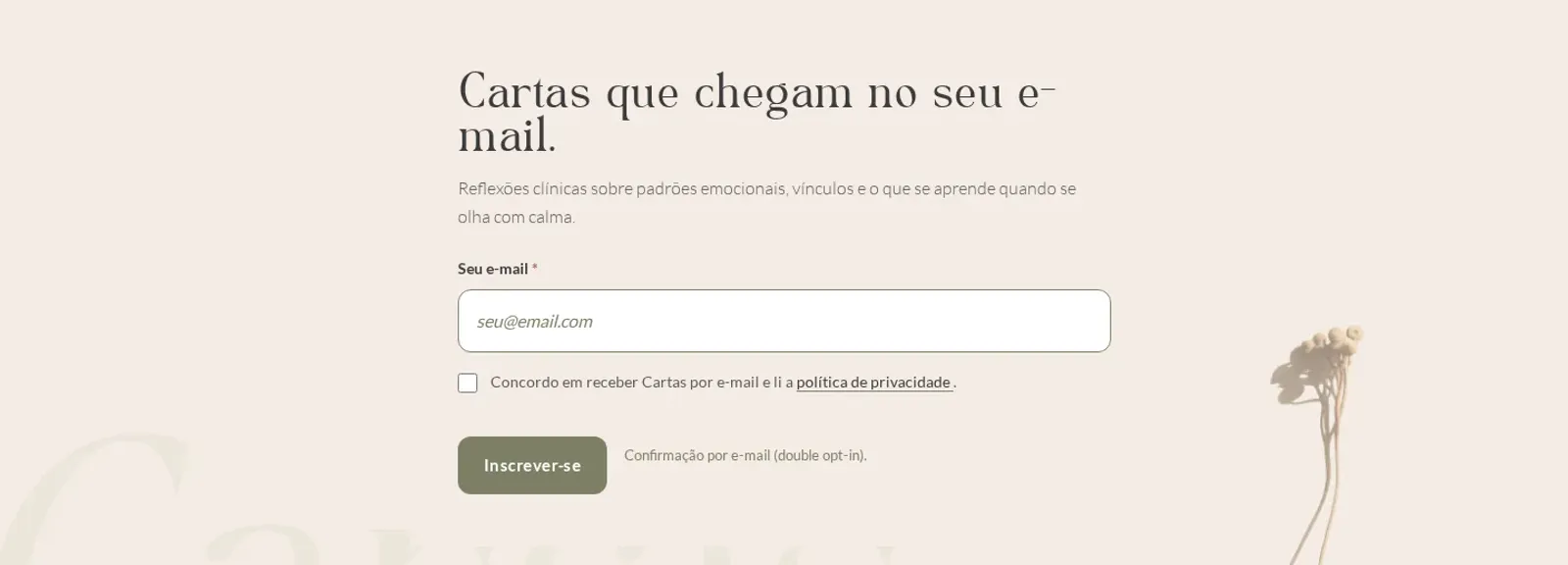 Helena Brito — bloco de newsletter editorial na home desktop